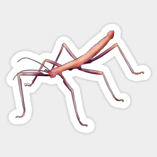 Lesbian Stick Bug Sticker